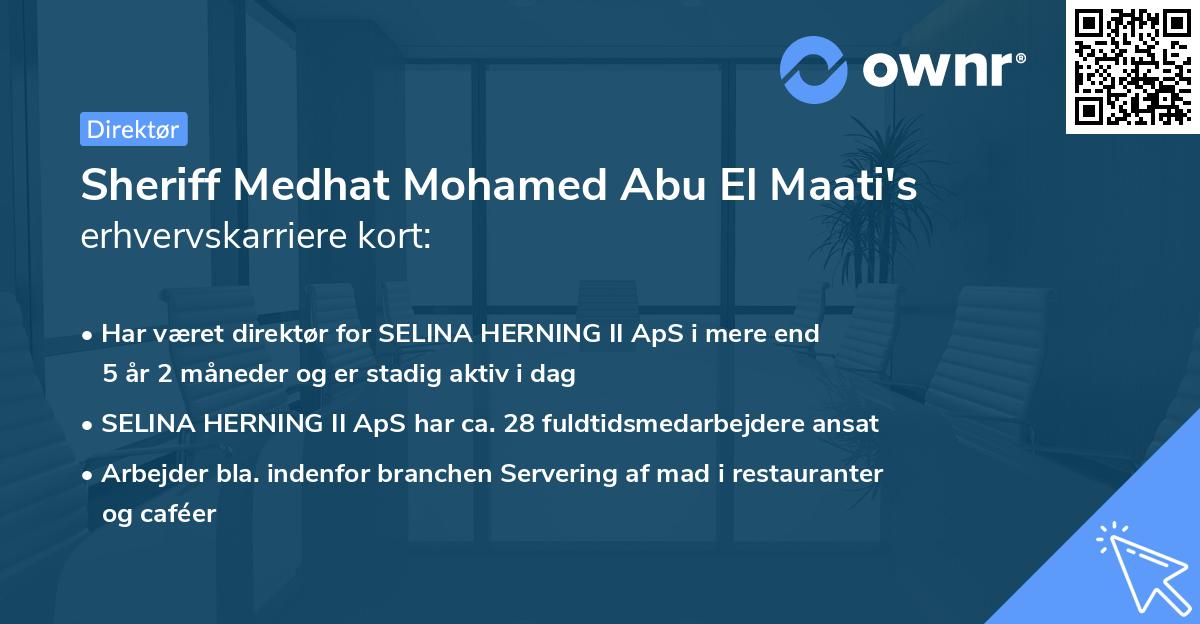 Sheriff Medhat Mohamed Abu El Maati's erhvervskarriere kort