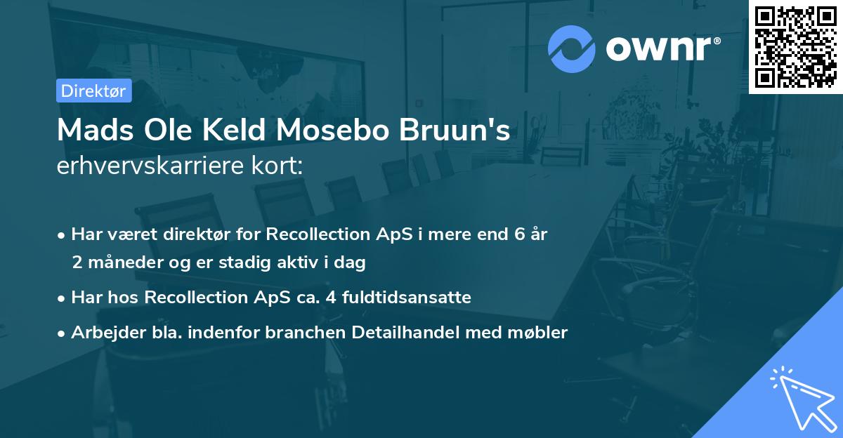 Mads Ole Keld Mosebo Bruun's erhvervskarriere kort