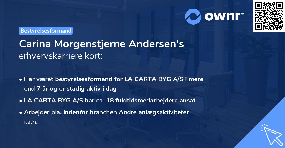 Carina Morgenstjerne Andersen's erhvervskarriere kort