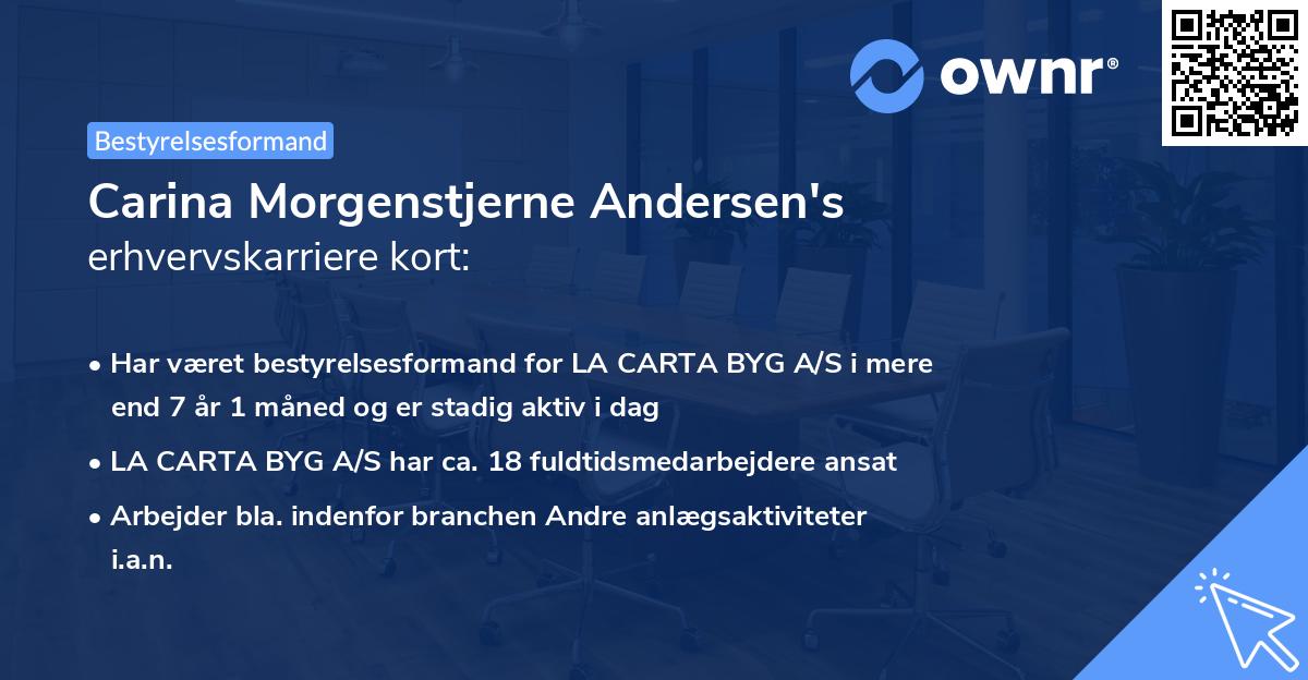 Carina Morgenstjerne Andersen's erhvervskarriere kort