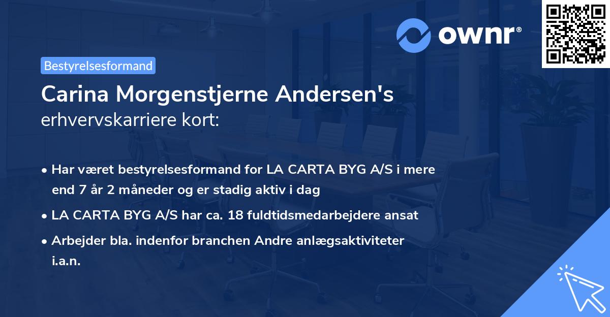 Carina Morgenstjerne Andersen's erhvervskarriere kort