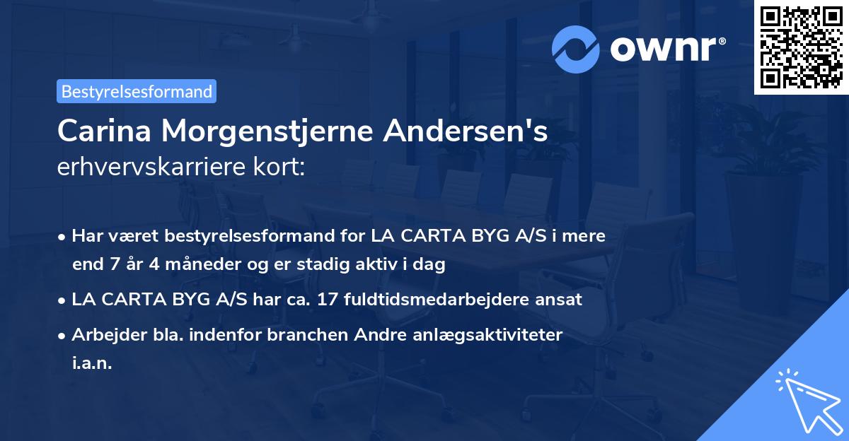 Carina Morgenstjerne Andersen's erhvervskarriere kort