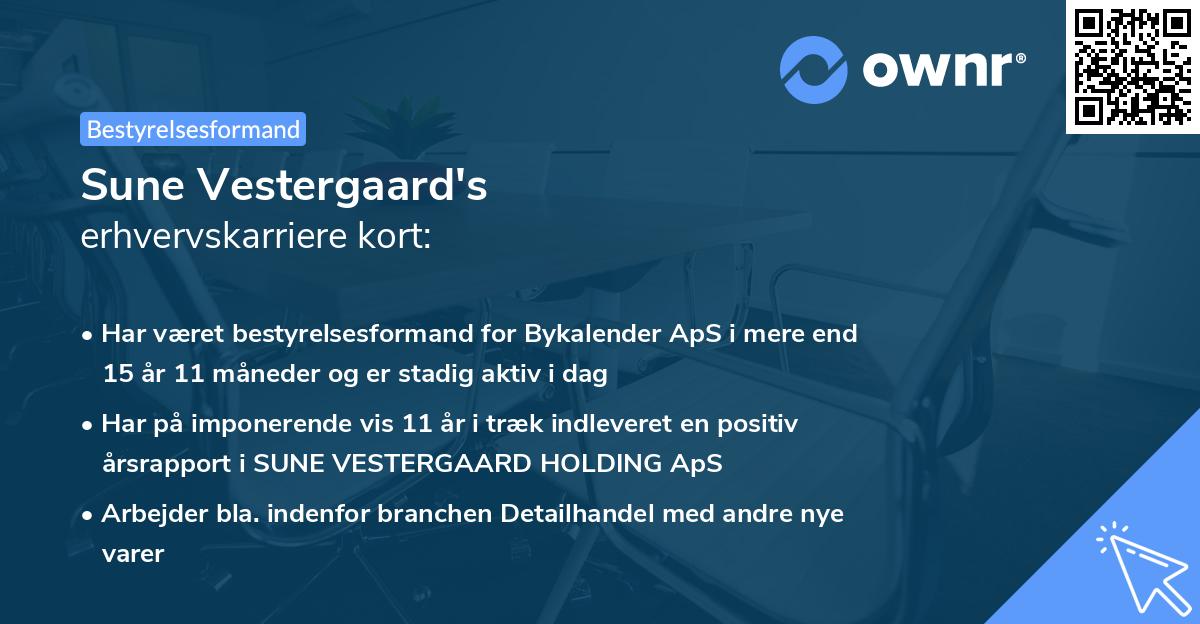 Sune Vestergaard's erhvervskarriere kort
