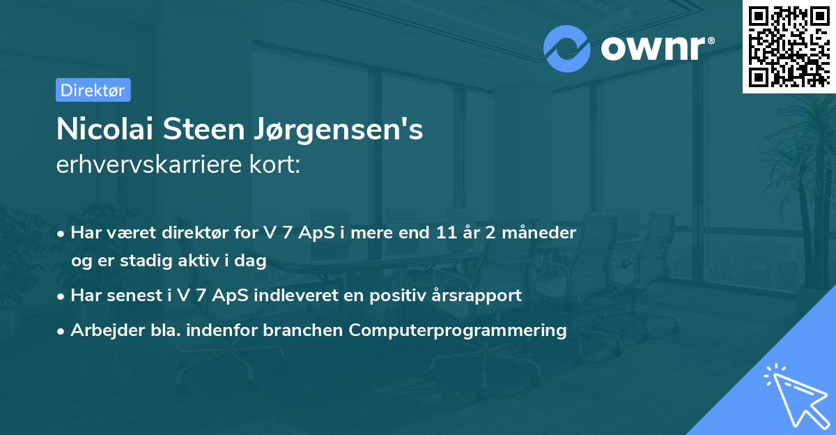 Nicolai Steen Jørgensen's erhvervskarriere kort