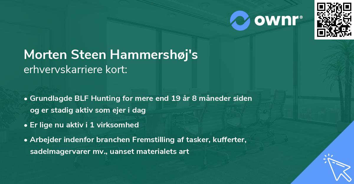 Morten Steen Hammershøj's erhvervskarriere kort
