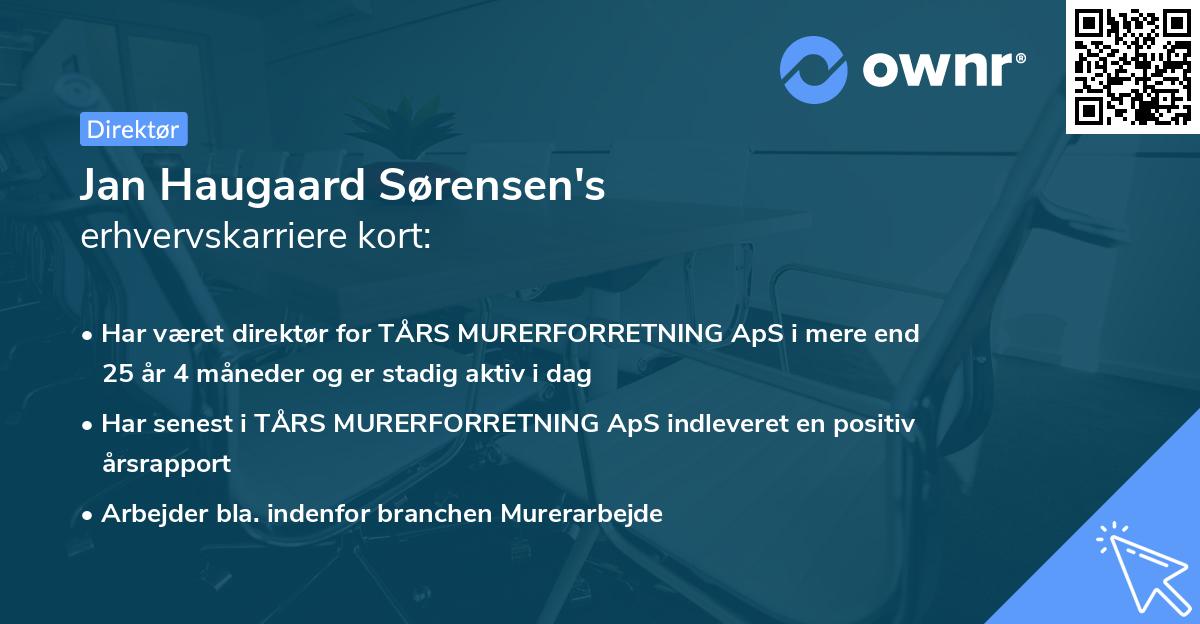 Jan Haugaard Sørensen's erhvervskarriere kort