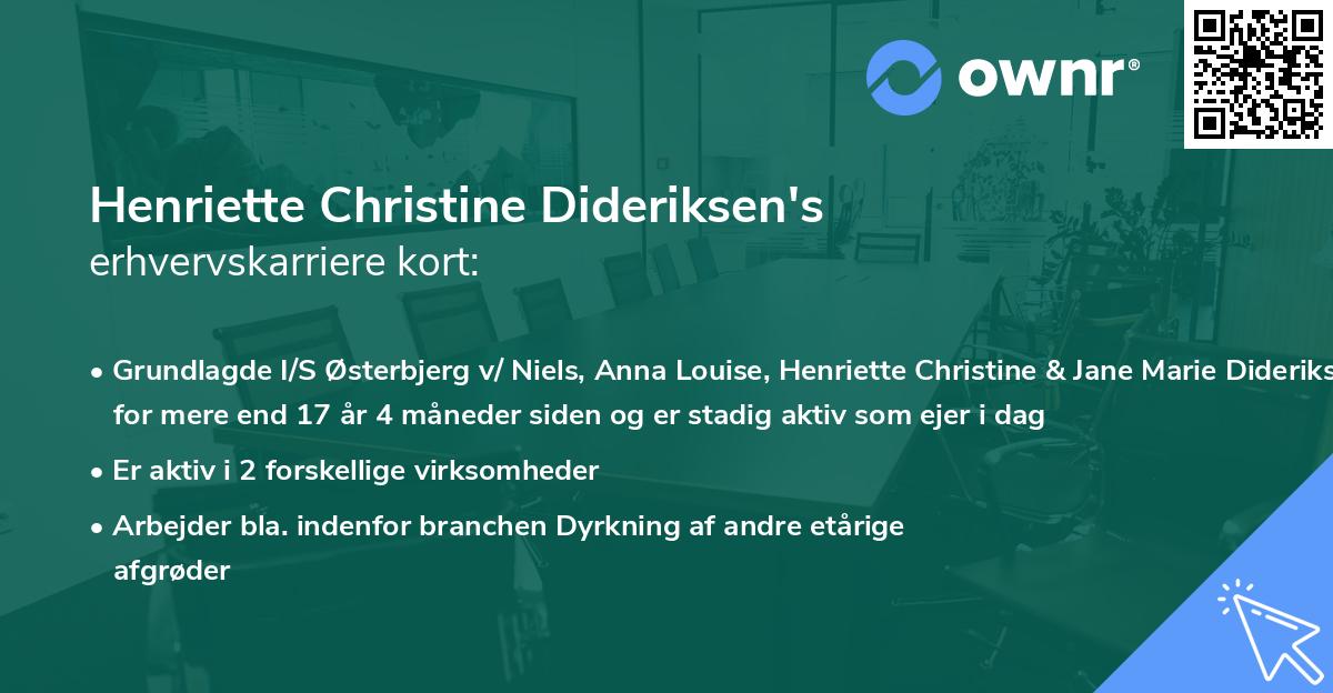 Henriette Christine Dideriksen's erhvervskarriere kort