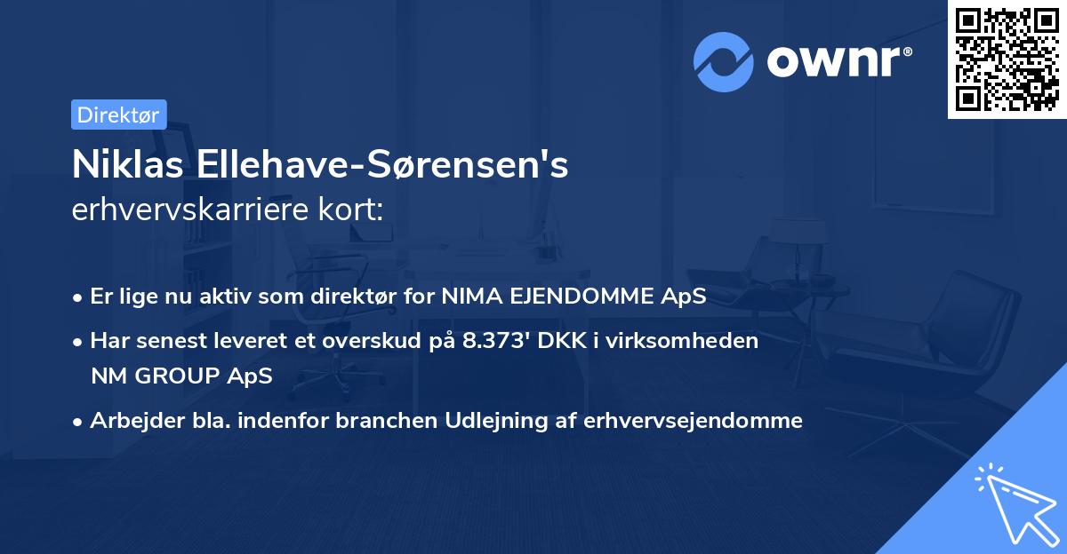 Niklas Ellehave-Sørensen's erhvervskarriere kort