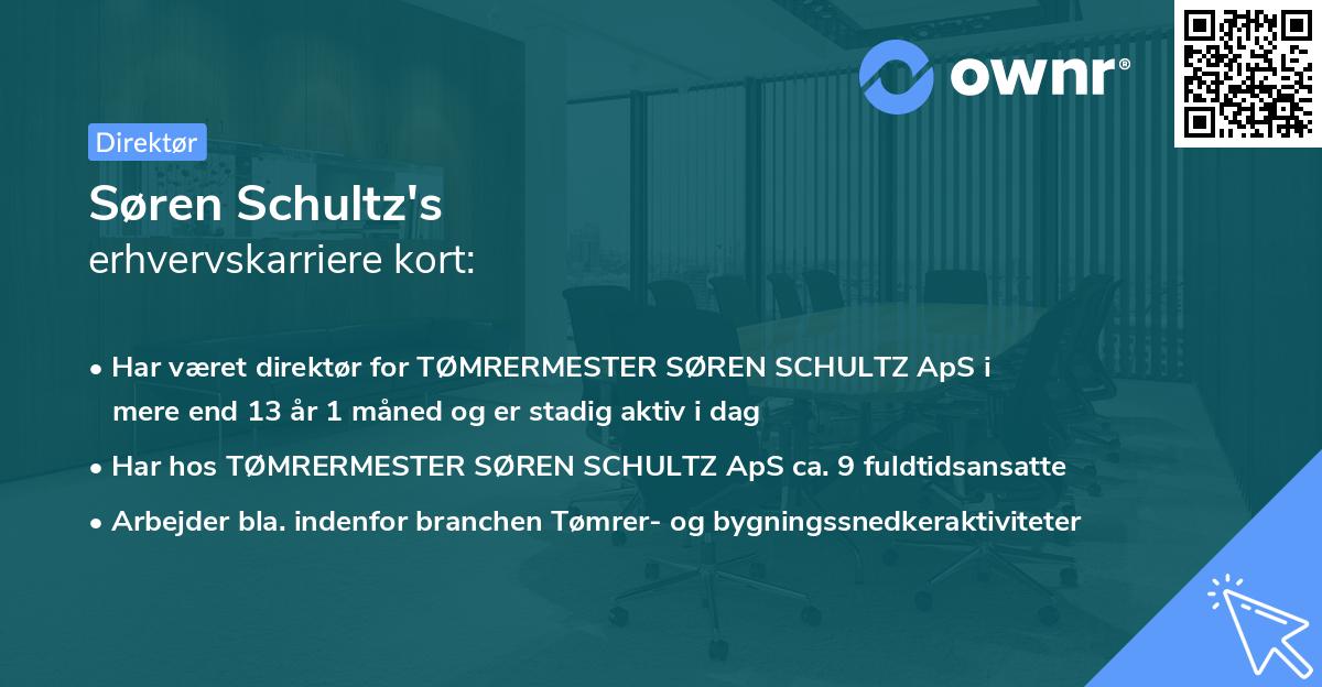 Søren Schultz's erhvervskarriere kort