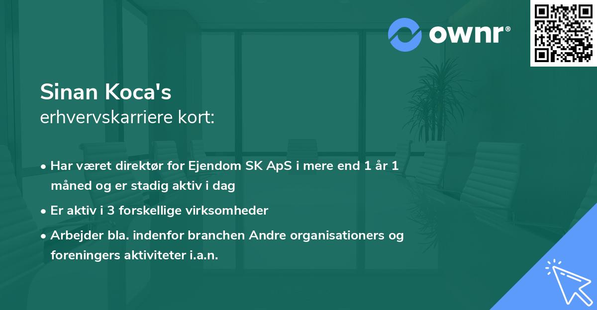 Sinan Koca's erhvervskarriere kort