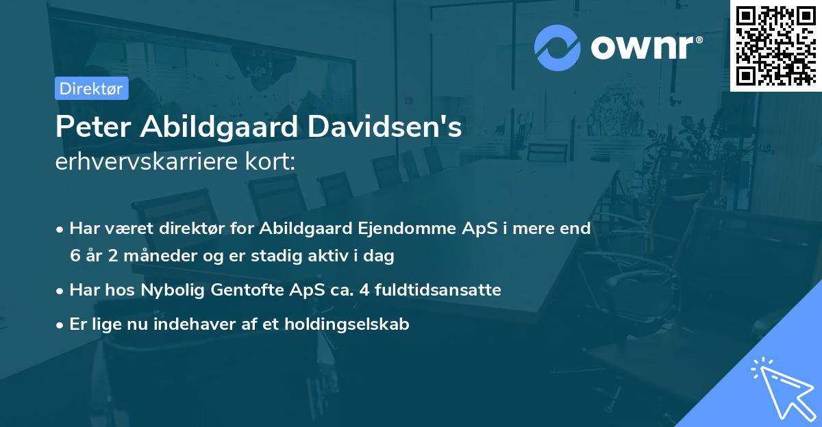 Peter Abildgaard Davidsen's erhvervskarriere kort