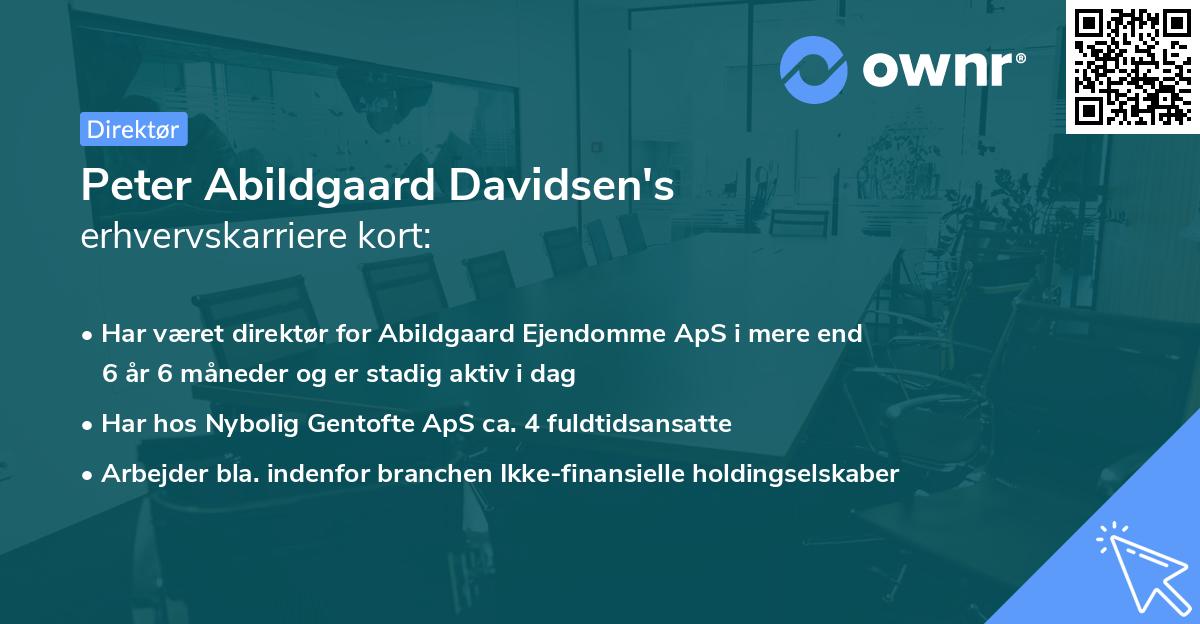 Peter Abildgaard Davidsen's erhvervskarriere kort