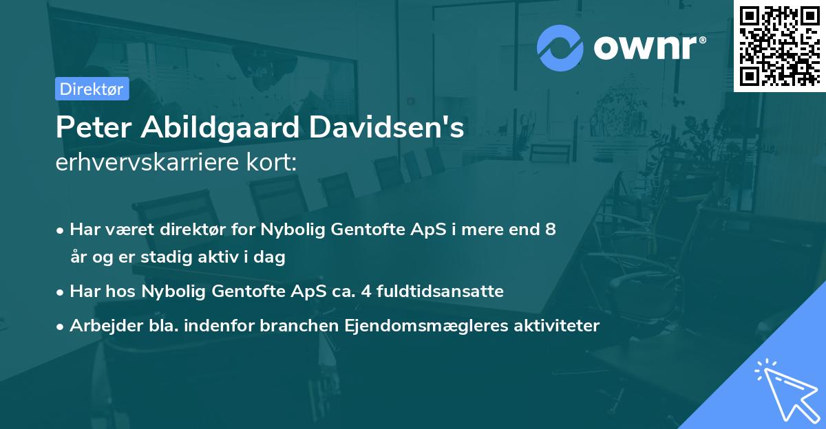 Peter Abildgaard Davidsen's erhvervskarriere kort