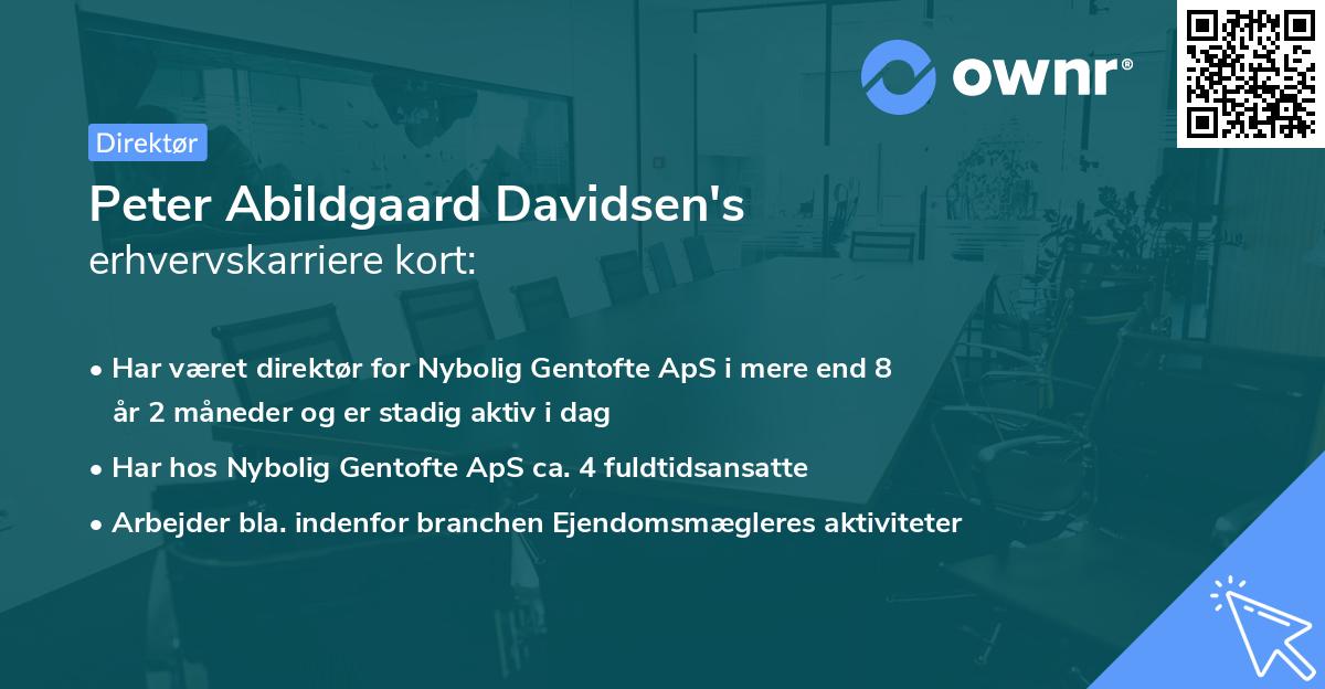 Peter Abildgaard Davidsen's erhvervskarriere kort