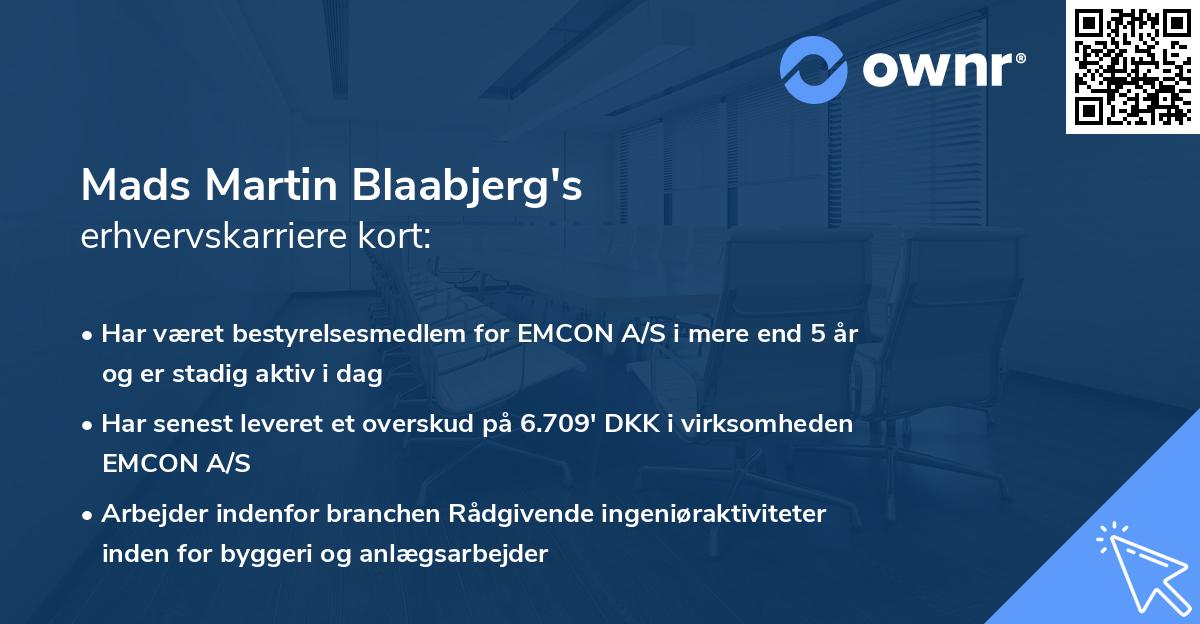 Mads Martin Blaabjerg's erhvervskarriere kort