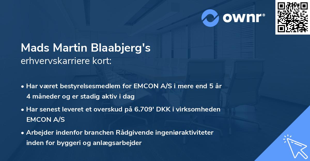 Mads Martin Blaabjerg's erhvervskarriere kort