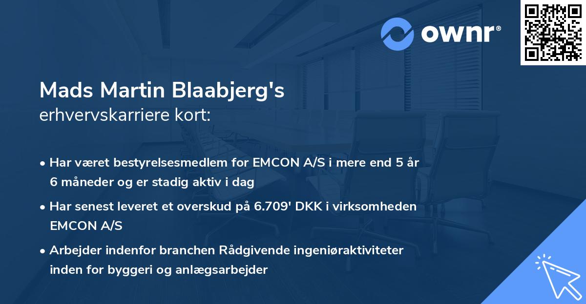 Mads Martin Blaabjerg's erhvervskarriere kort