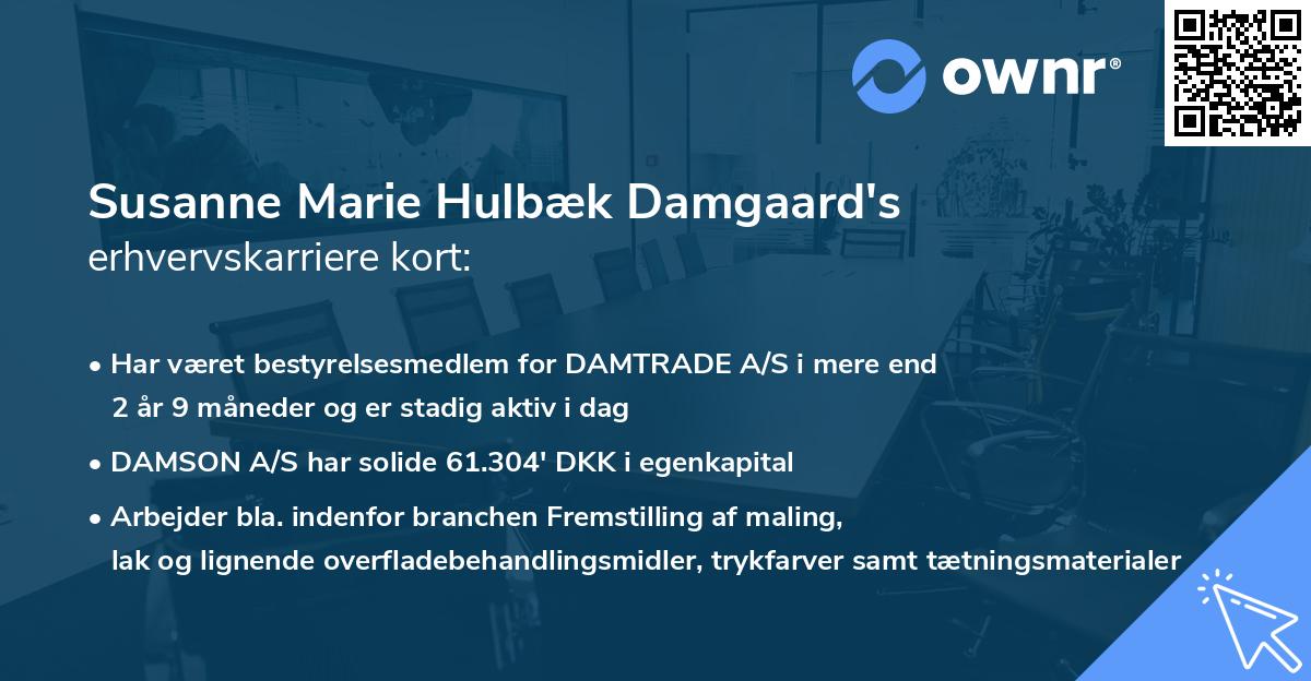 Susanne Marie Hulbæk Damgaard's erhvervskarriere kort