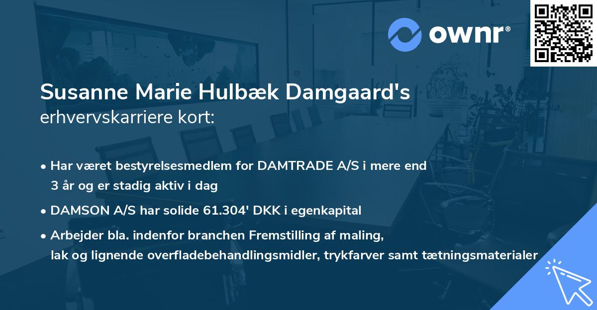 Susanne Marie Hulbæk Damgaard's erhvervskarriere kort