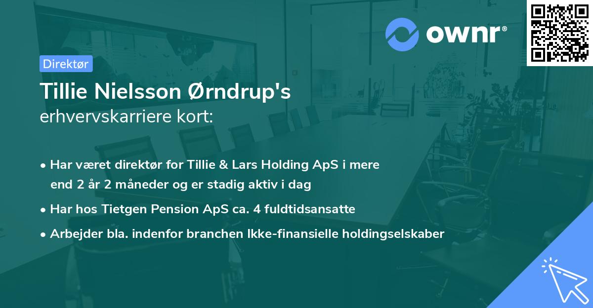 Tillie Nielsson Ørndrup's erhvervskarriere kort