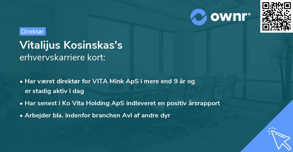 Vitalijus Kosinskas's erhvervskarriere kort