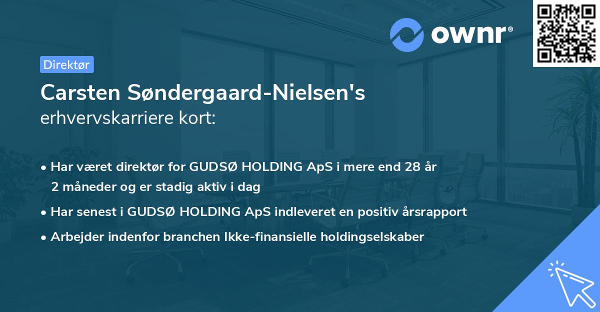 Carsten Søndergaard-Nielsen's erhvervskarriere kort