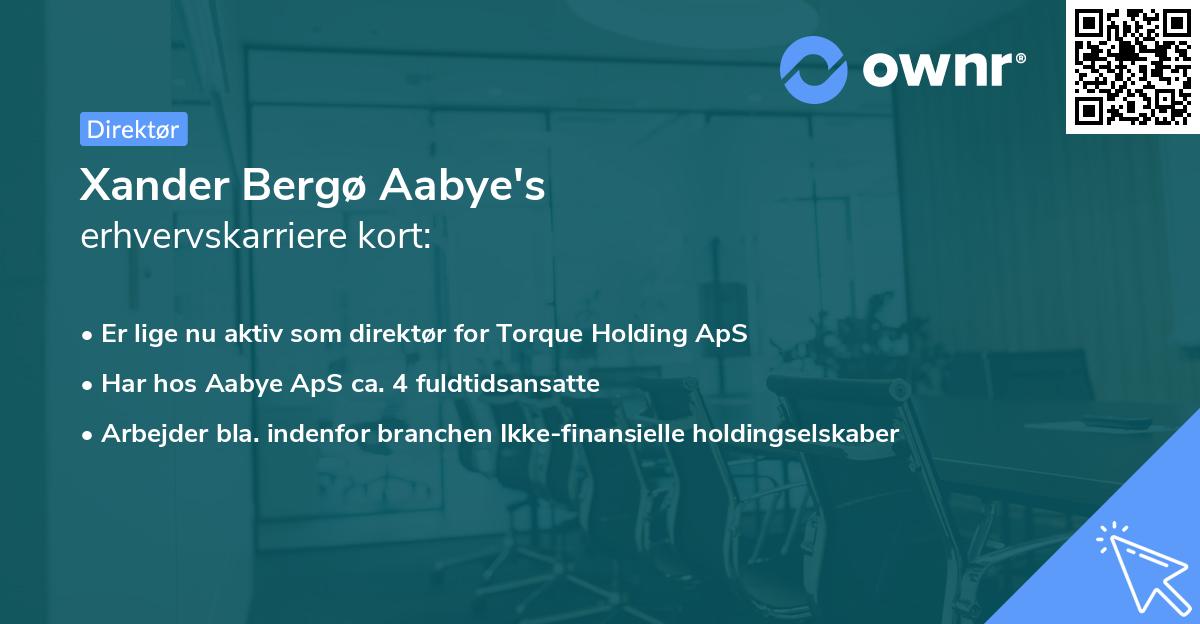 Xander Bergø Aabye's erhvervskarriere kort
