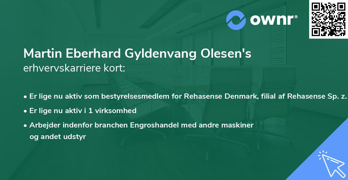 Martin Eberhard Gyldenvang Olesen's erhvervskarriere kort