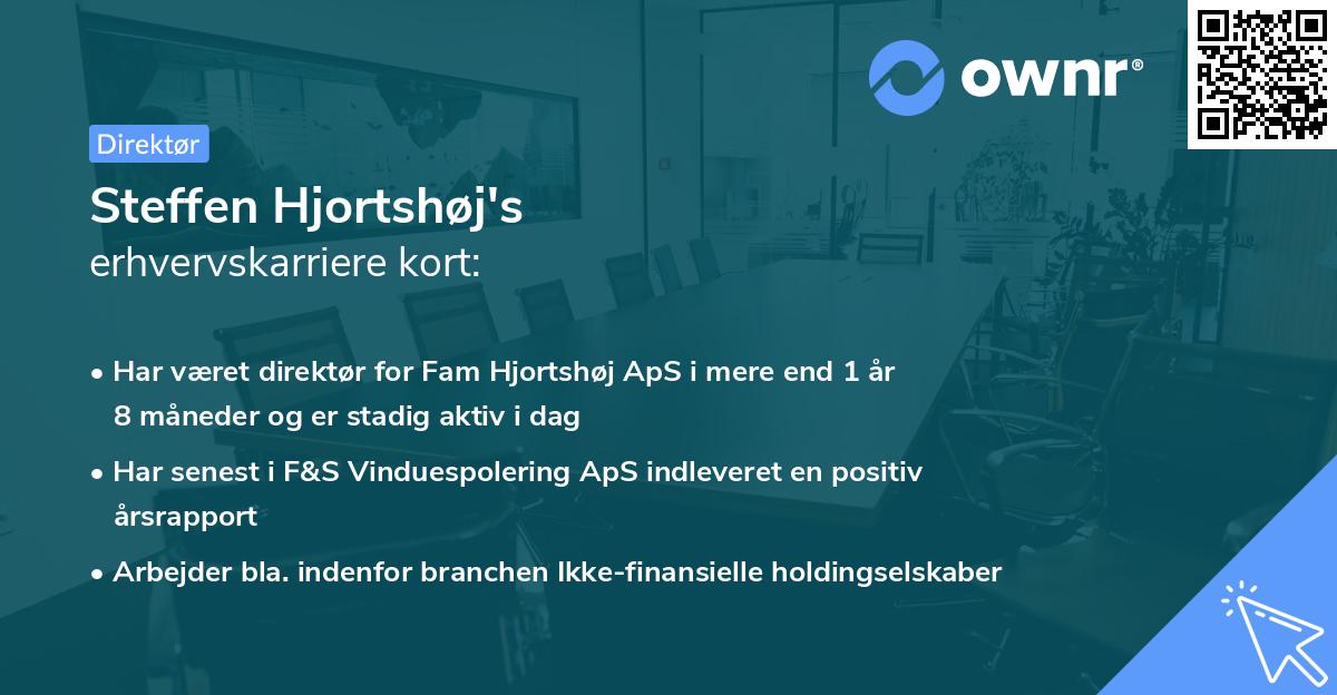 Steffen Hjortshøj's erhvervskarriere kort