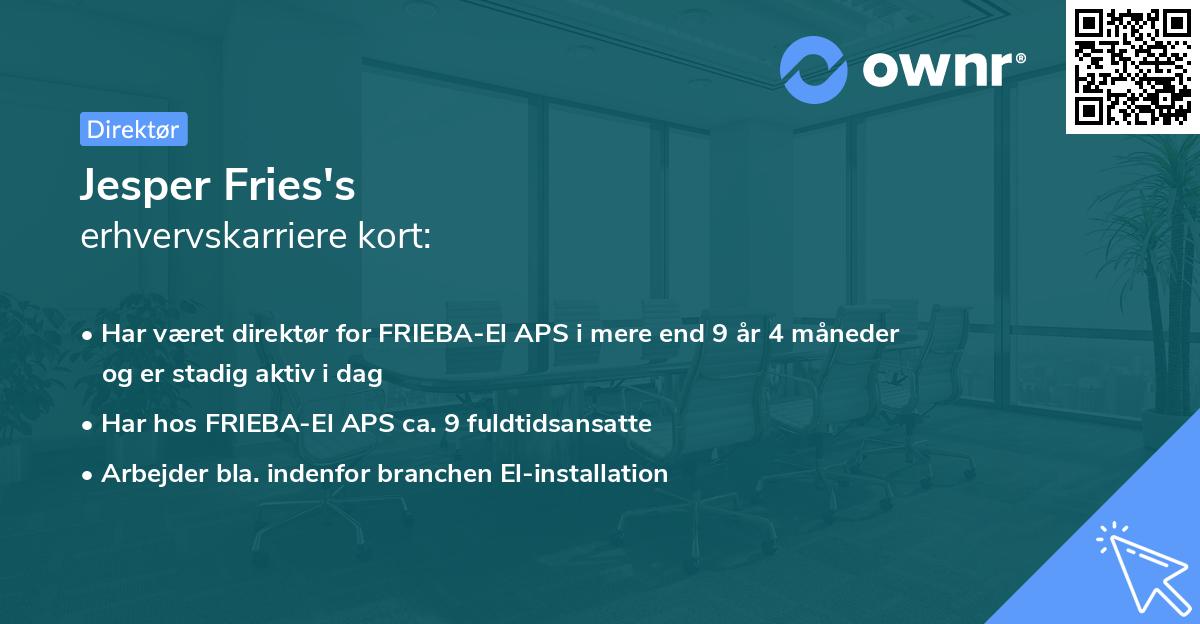 Jesper Fries's erhvervskarriere kort