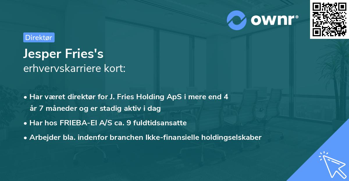 Jesper Fries's erhvervskarriere kort