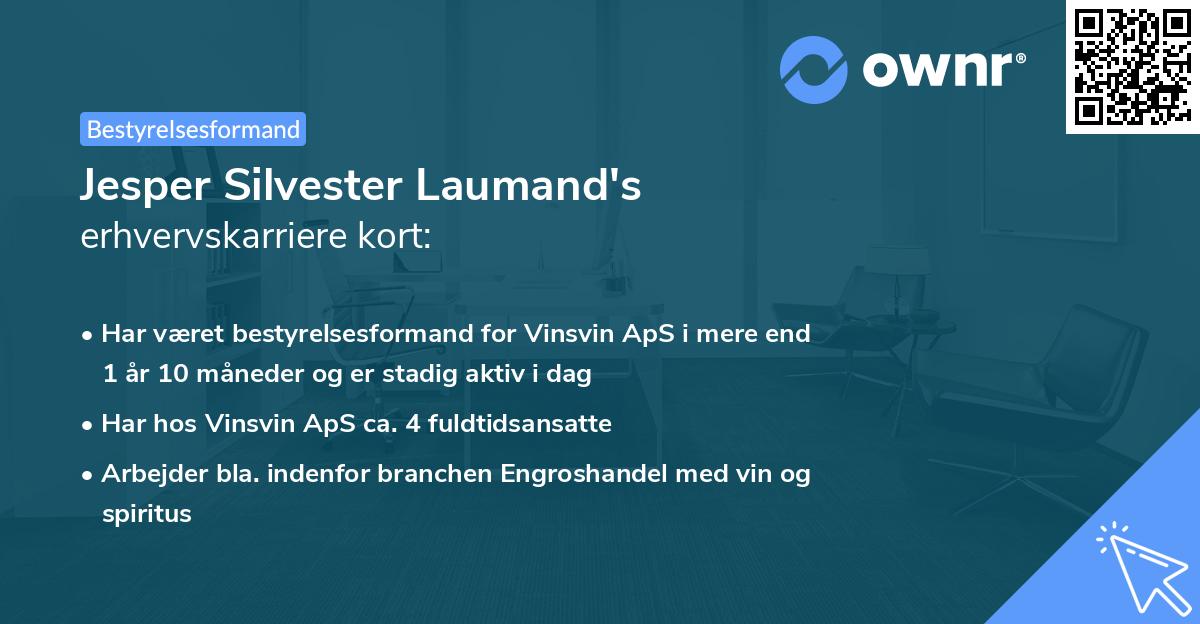 Jesper Silvester Laumand's erhvervskarriere kort