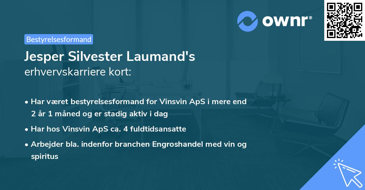 Jesper Silvester Laumand's erhvervskarriere kort