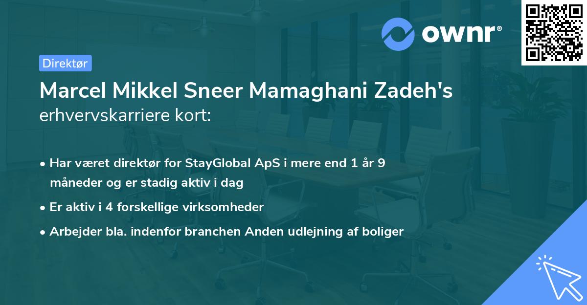 Marcel Mikkel Sneer Mamaghani Zadeh's erhvervskarriere kort