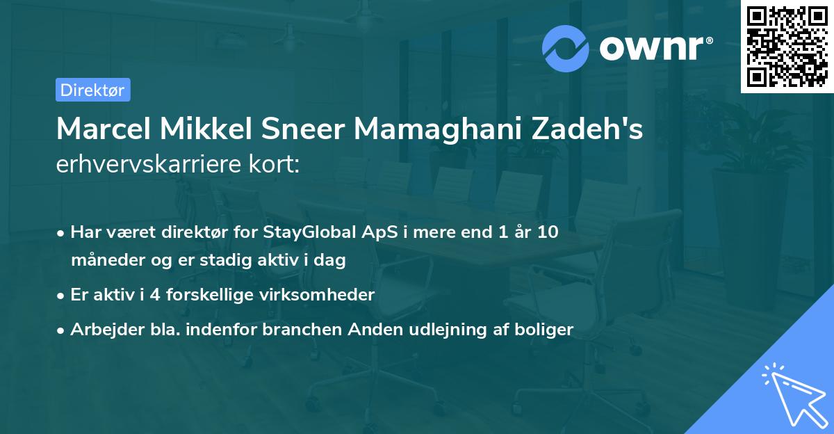 Marcel Mikkel Sneer Mamaghani Zadeh's erhvervskarriere kort
