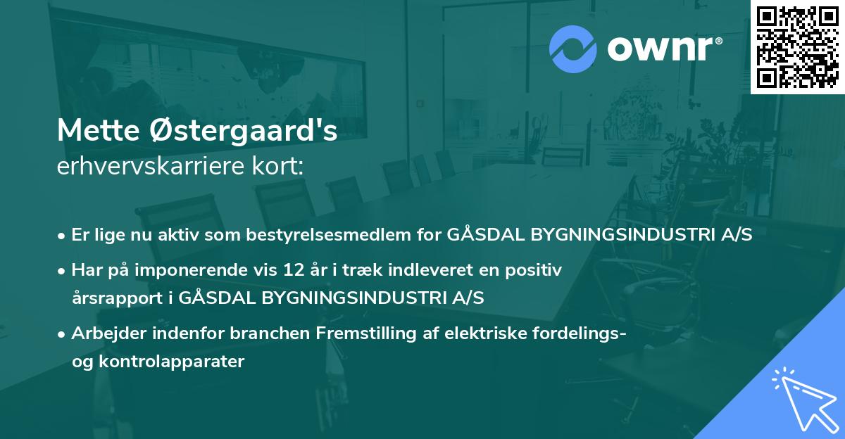 Mette Østergaard's erhvervskarriere kort