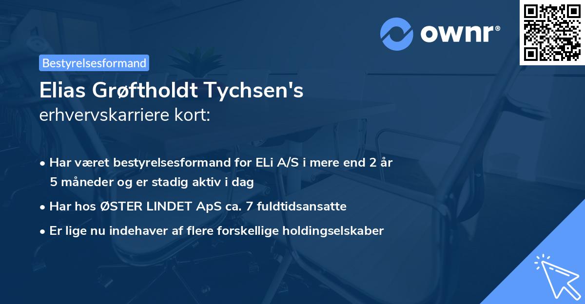 Elias Grøftholdt Tychsen's erhvervskarriere kort