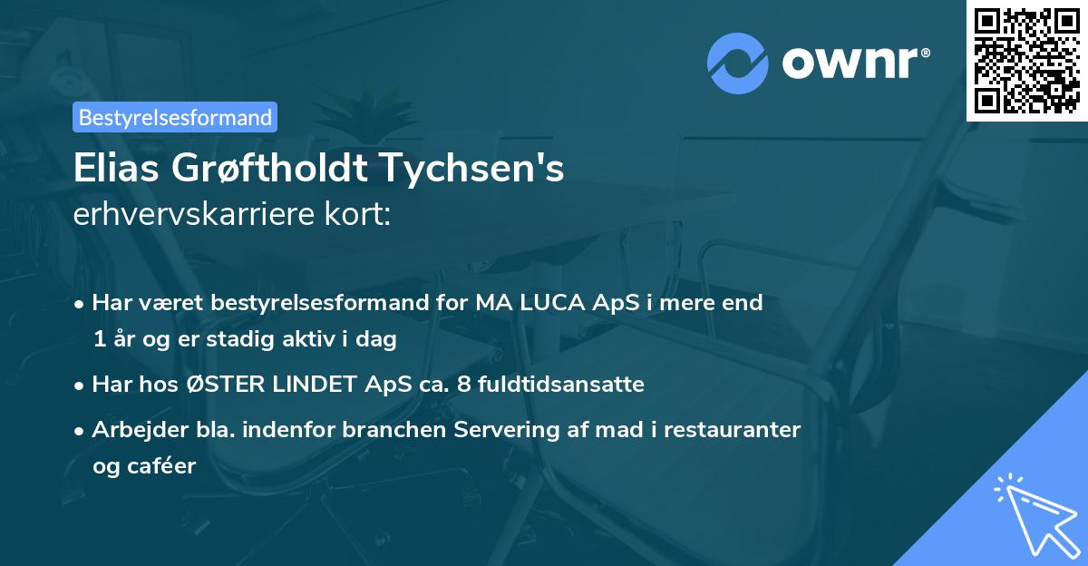Elias Grøftholdt Tychsen's erhvervskarriere kort