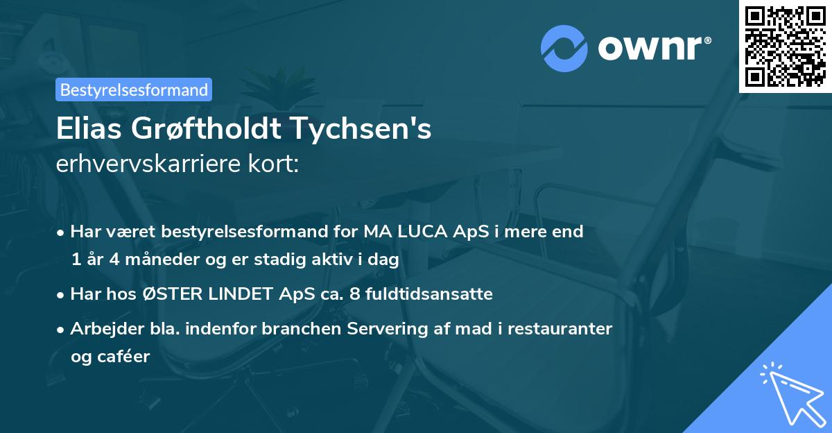 Elias Grøftholdt Tychsen's erhvervskarriere kort