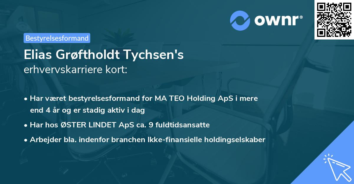 Elias Grøftholdt Tychsen's erhvervskarriere kort