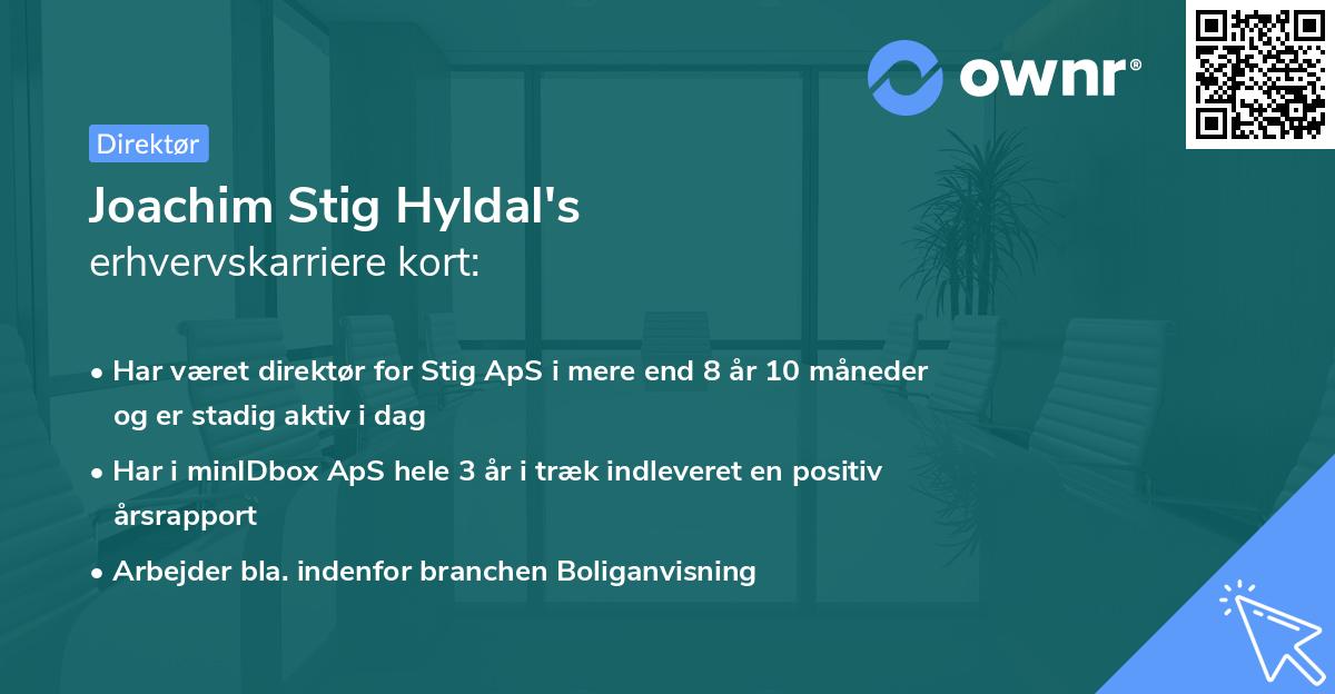 Joachim Stig Hyldal's erhvervskarriere kort