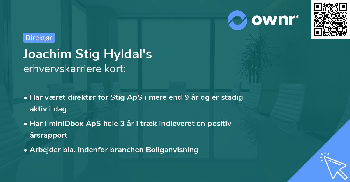 Joachim Stig Hyldal's erhvervskarriere kort