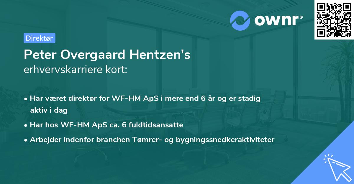 Peter Overgaard Hentzen's erhvervskarriere kort