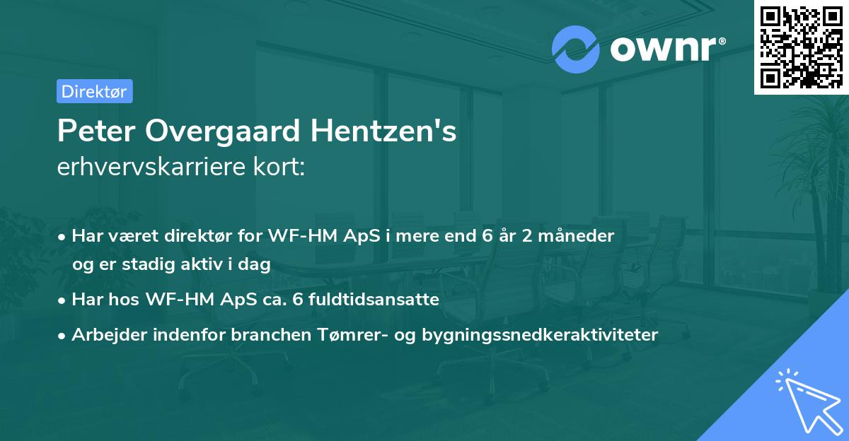 Peter Overgaard Hentzen's erhvervskarriere kort
