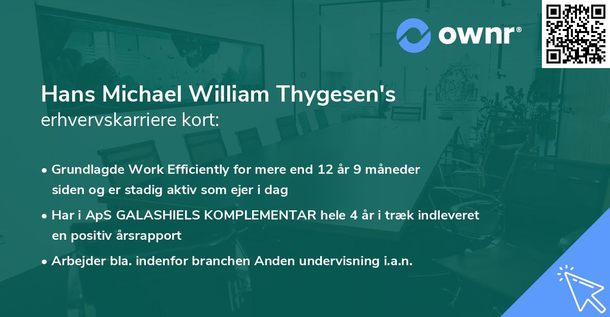 Hans Michael William Thygesen's erhvervskarriere kort