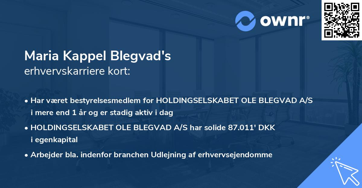 Maria Kappel Blegvad's erhvervskarriere kort
