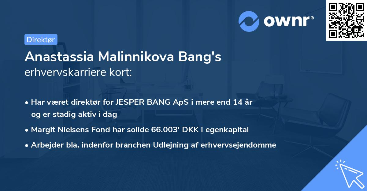 Anastassia Malinnikova Bang's erhvervskarriere kort