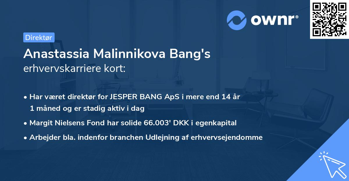 Anastassia Malinnikova Bang's erhvervskarriere kort