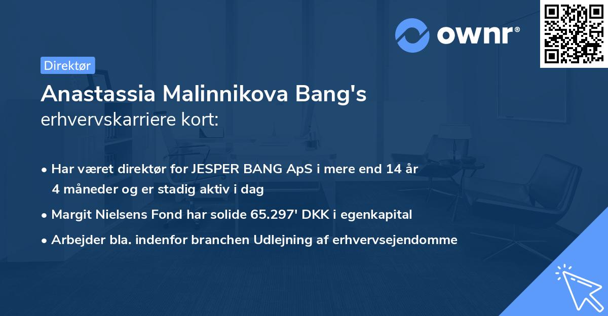 Anastassia Malinnikova Bang's erhvervskarriere kort