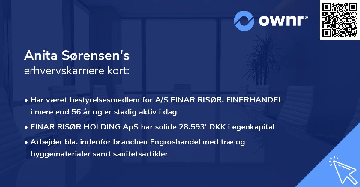 Anita Sørensen's erhvervskarriere kort
